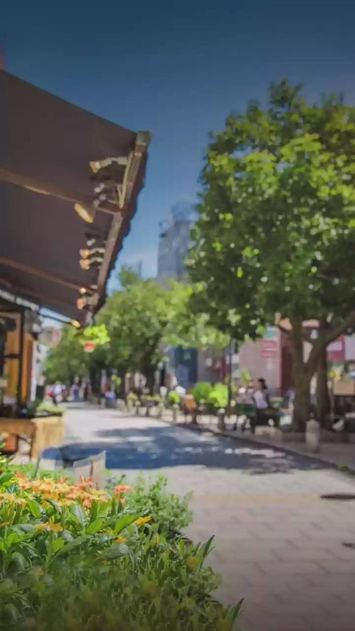 Vietnam's Pristine Streets: An Indian Traveler's Perspective on Enhanced Travel Experiences