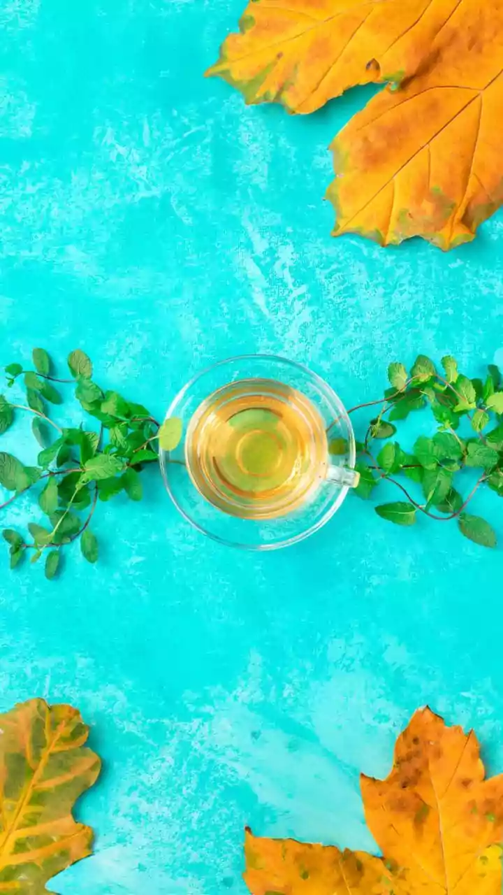 Creative Cold Brewed Tea Recipes Combine Regional Leaves With Fresh Seasonal Fruits