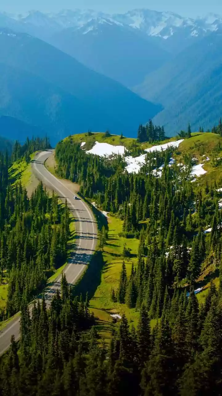 Green Landscapes And Better Road Conditions Are Shaping Post-Monsoon Trips