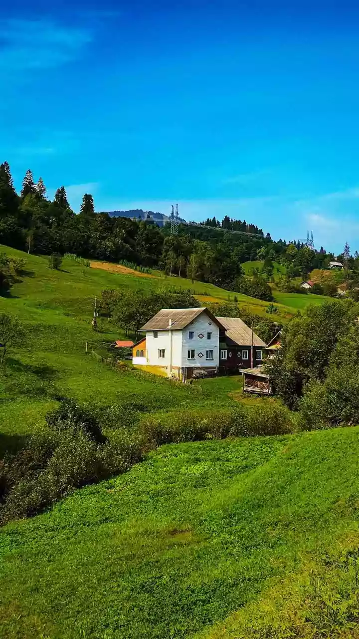 Young travellers maintain eco homestay rules in Ziro Valley using valid travel permits