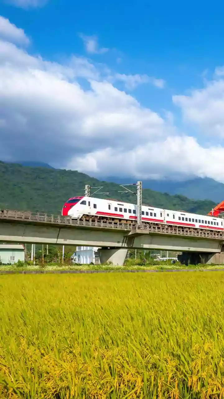 Mixed Service Could Spread Tourism While Keeping Local Travel Possible