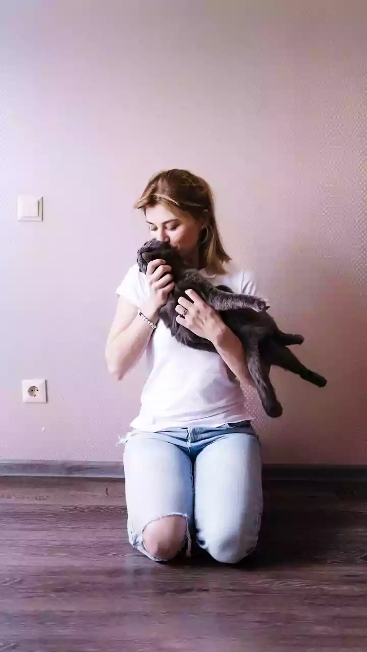 Pet Owners Should Follow Label Directions for Floor Cleaners