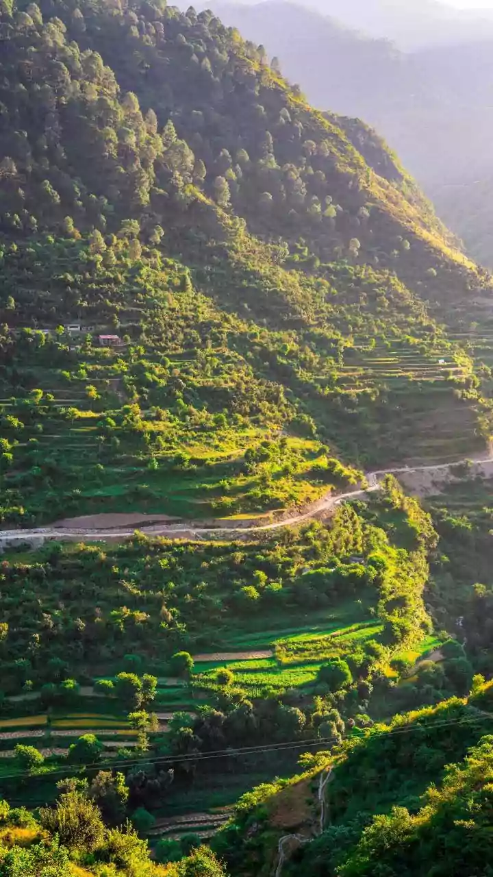 The Right To Work Was Never A Slogan: Why Replacing NREGA Is A Step Back