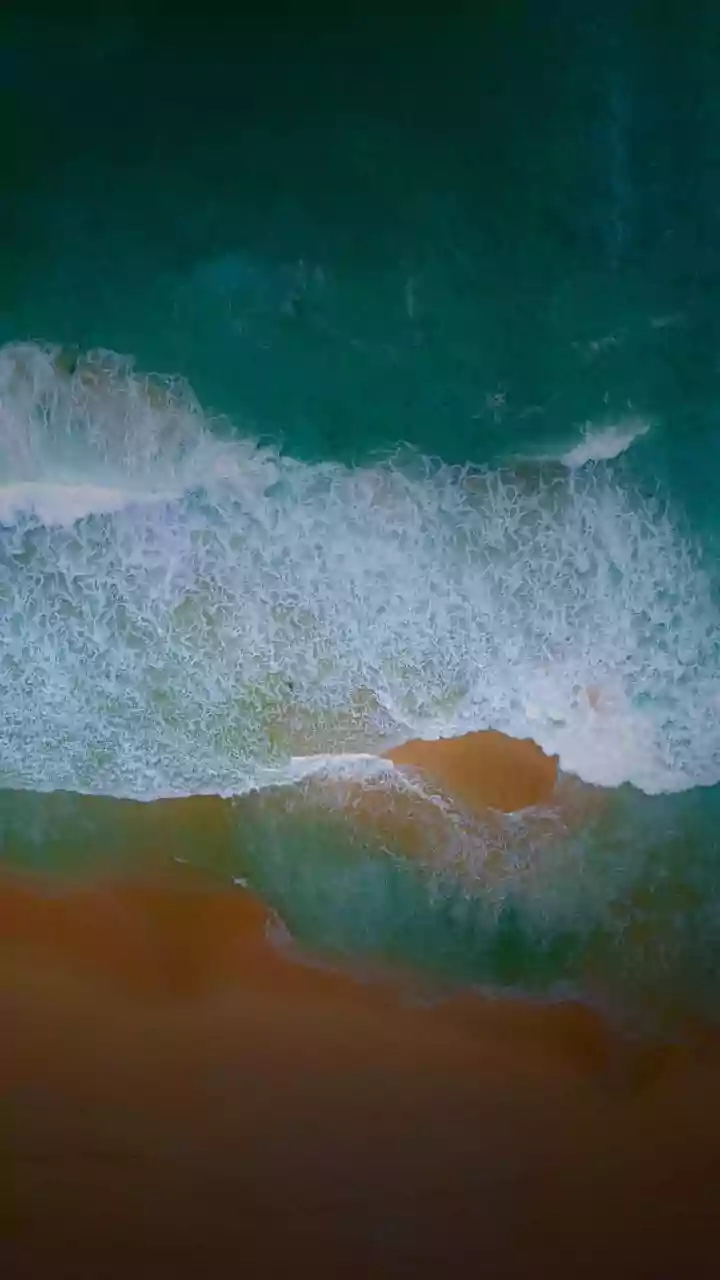 The Aftermath Of Australia Terror Attack: Bondi Beach Hero, GoFundMe, Blood Donation Queues