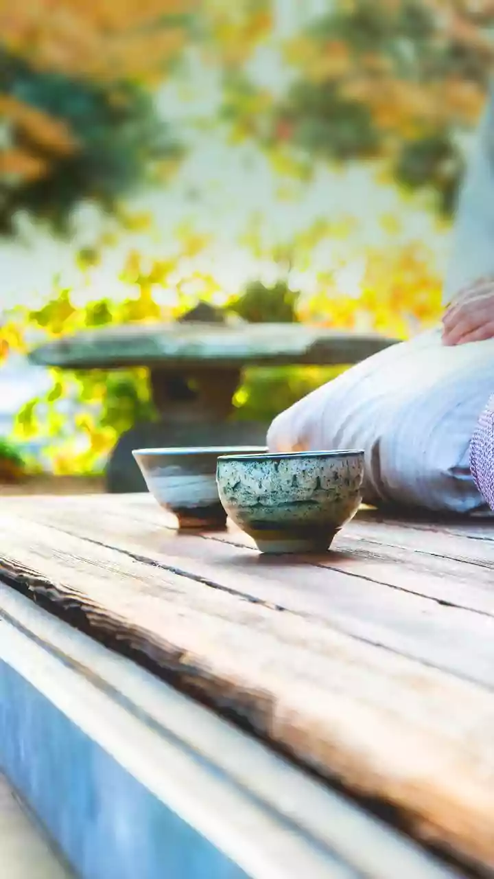 A Practical Guide to Garden Tea Party Hosting while Shading Guests Properly