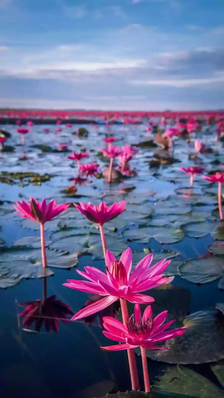 Friday winter check — tap for today’s feel.