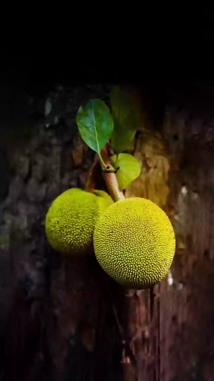 Seasonal Jackfruit Cooking Is Inspiring A New Wave Of Kerala Home Chefs