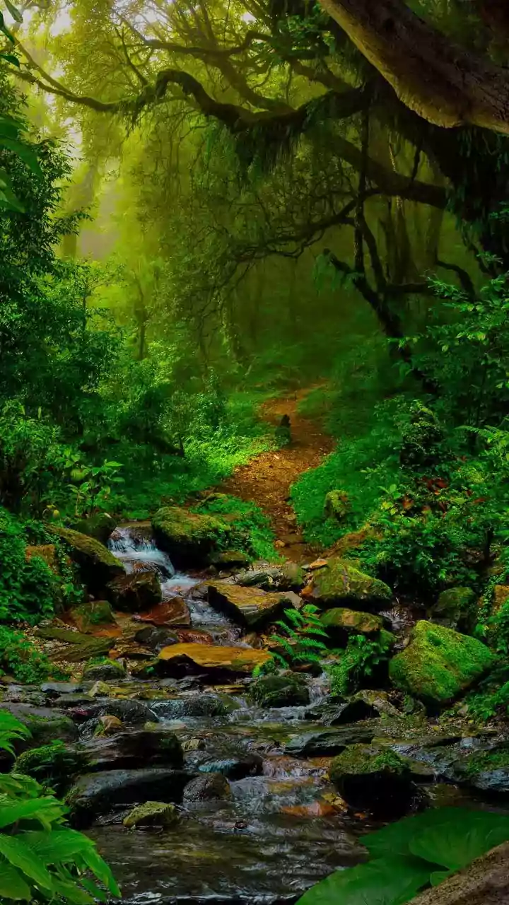 5 Survival Tips from Bear Grylls: Outsmart the Wild!