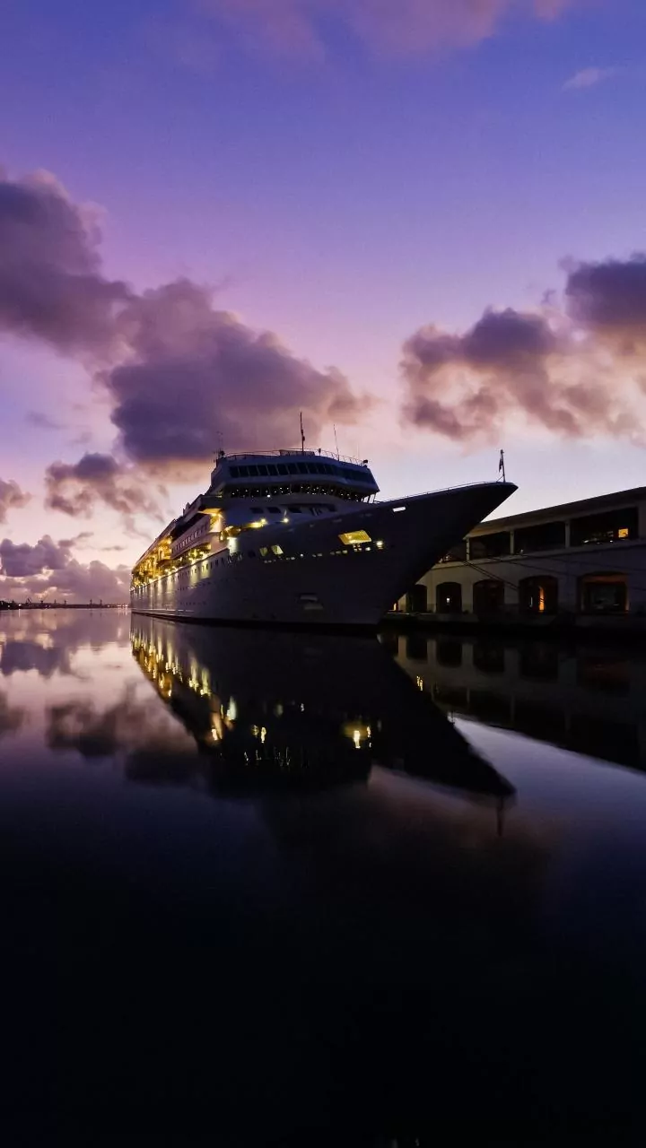Understanding Hantavirus: Insights into the Recent Cruise Ship Outbreak