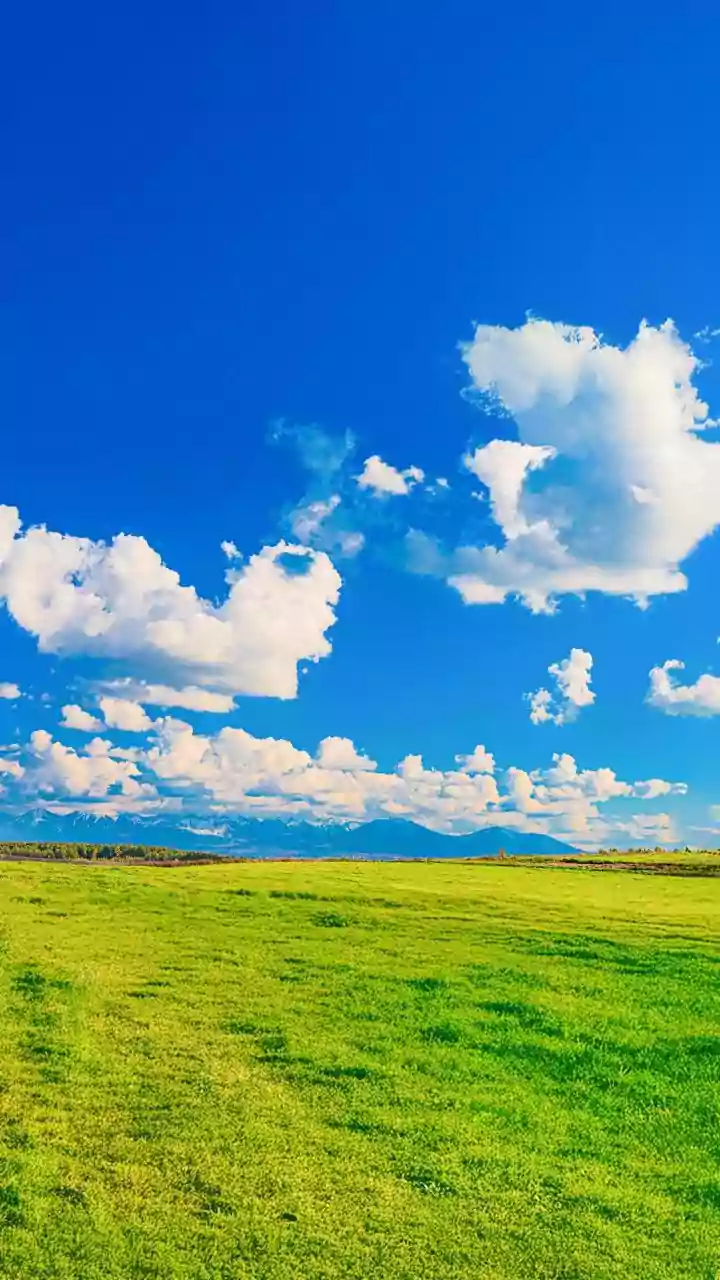 Weekly Cosmic Insights: Feb 16-22, 2026 - A Gentle Pause Before Renewed Energy