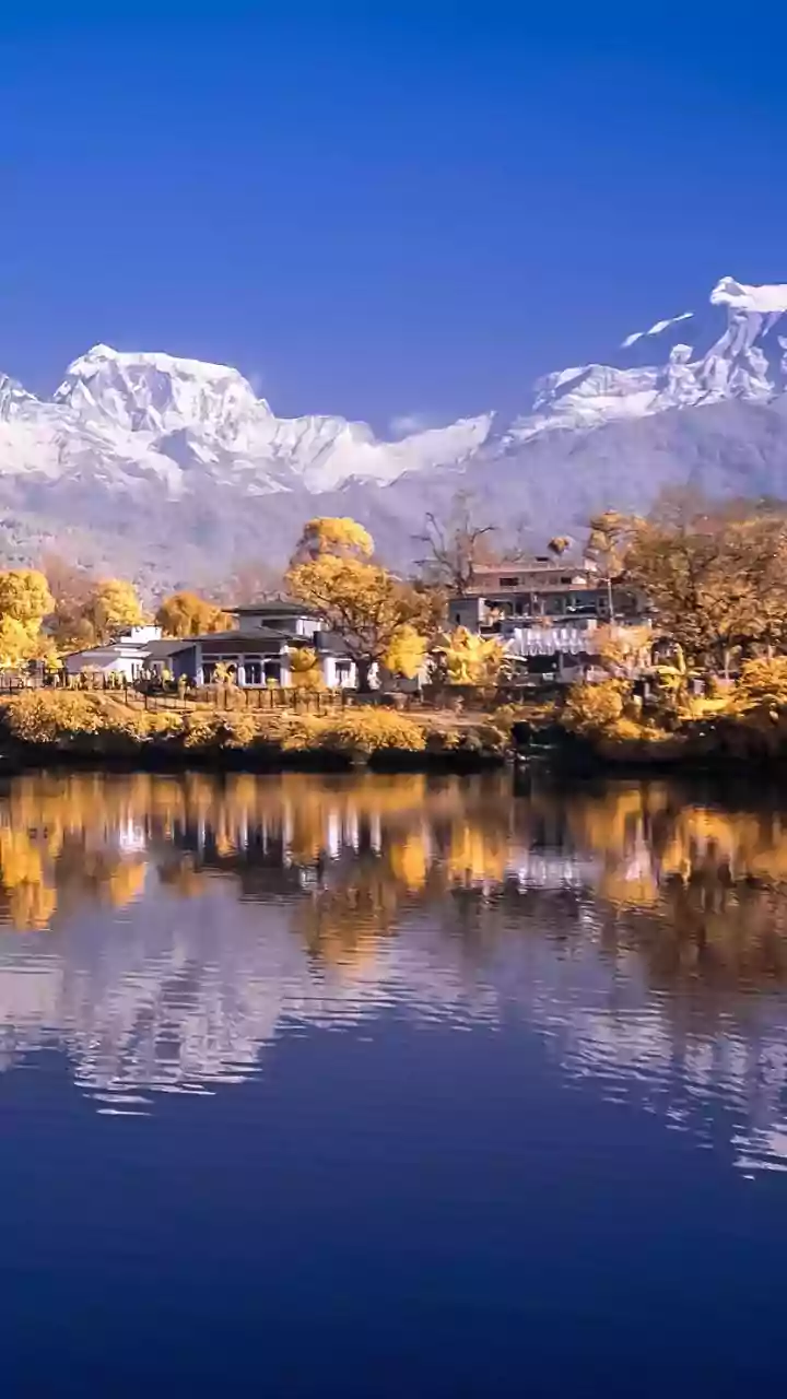 Kashmir's Winter Chill: A Deep Dive into the Frozen Wonderland