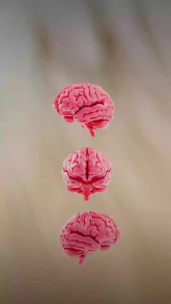 Scientists are studying AI like living brains