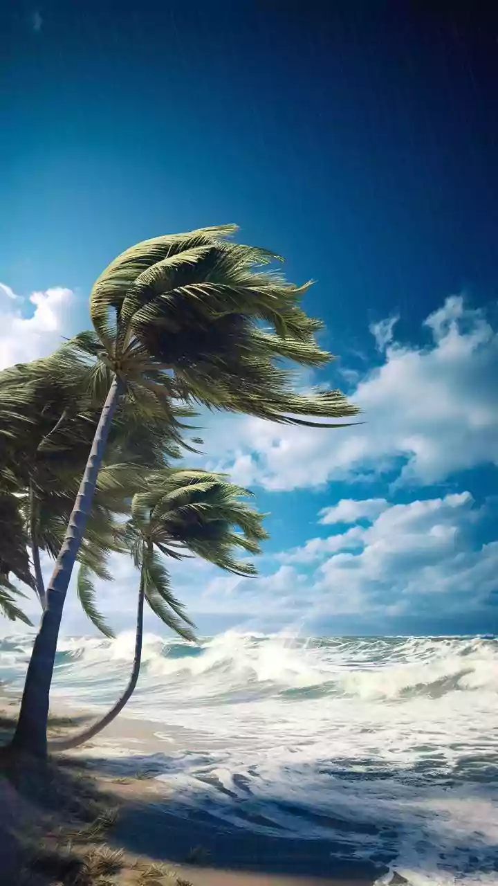 Cyclone Arnab Brings Torrential Rain and Winds to Andhra Pradesh