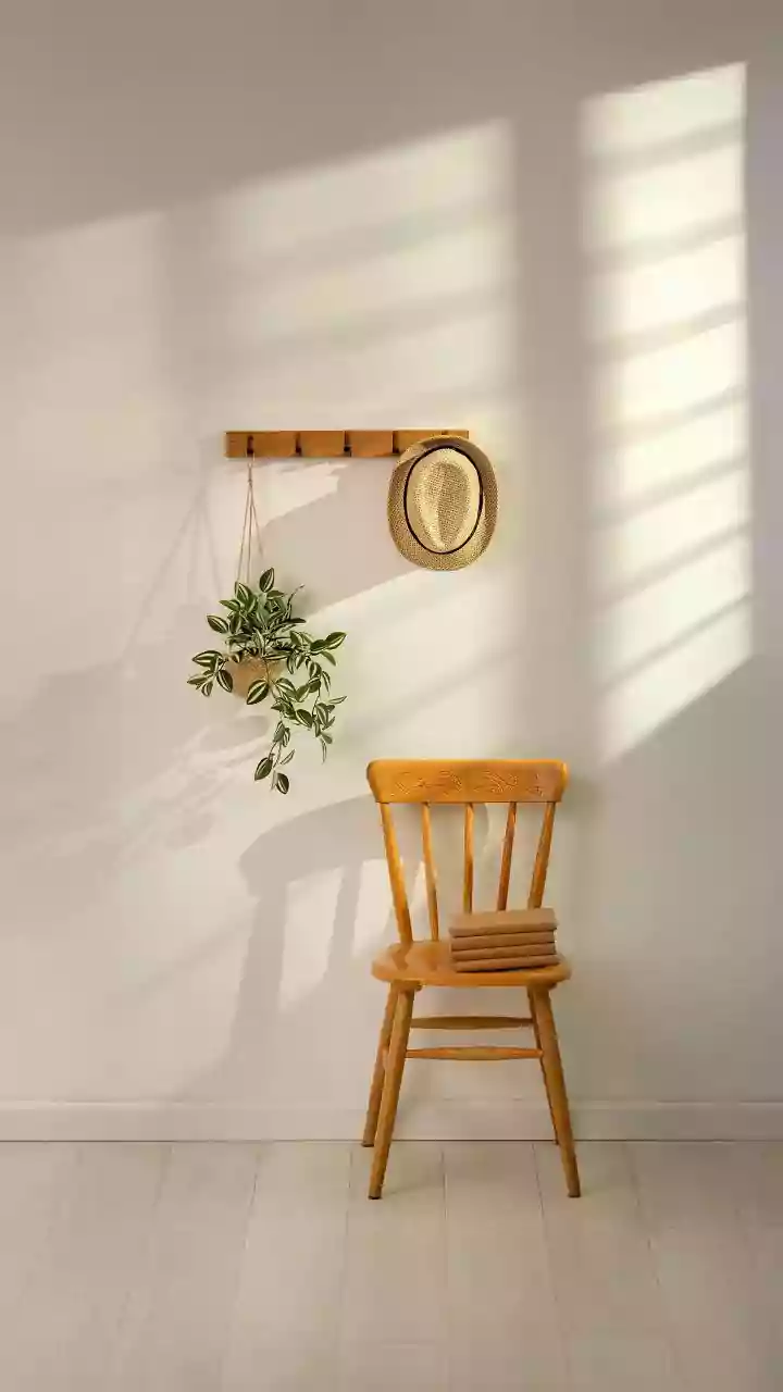 What To Check Before Mounting Plants On A Wall