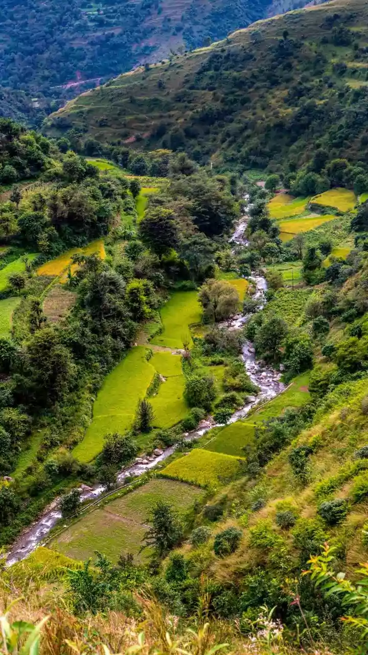 Sikkim's Morning Feast: A Culinary Journey Through Traditional Breakfast Delights