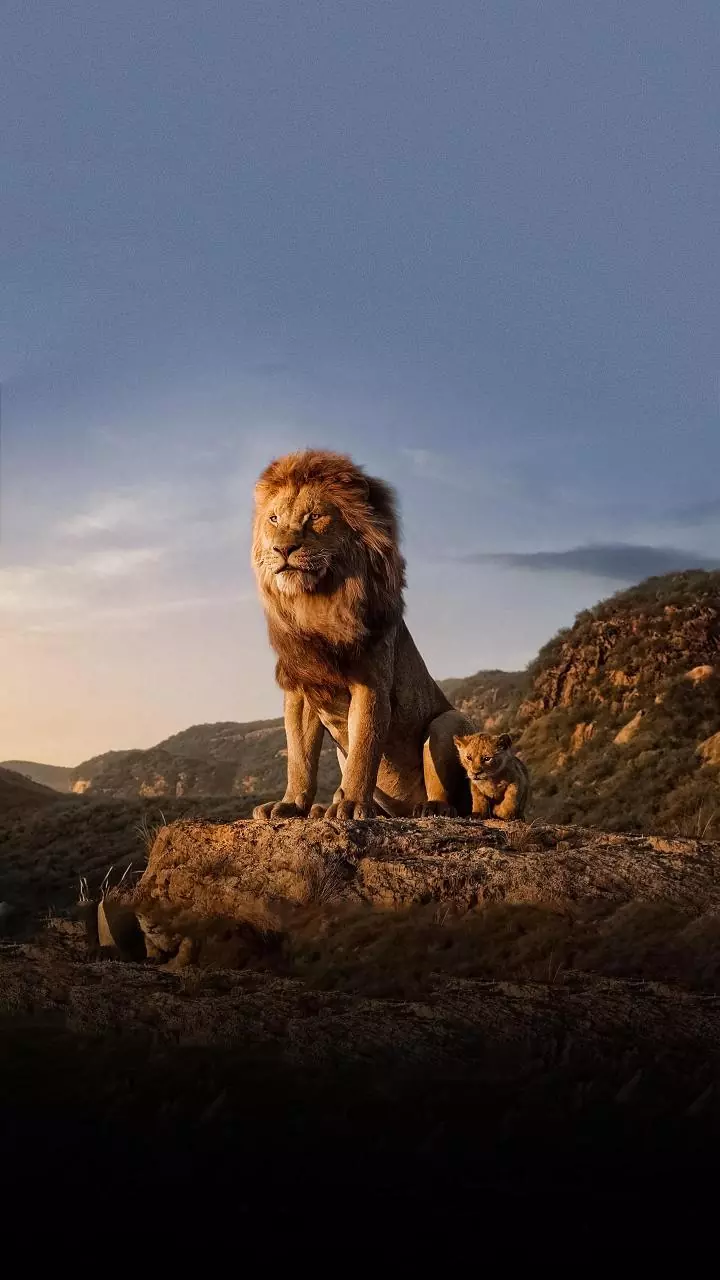 Related Stories banner