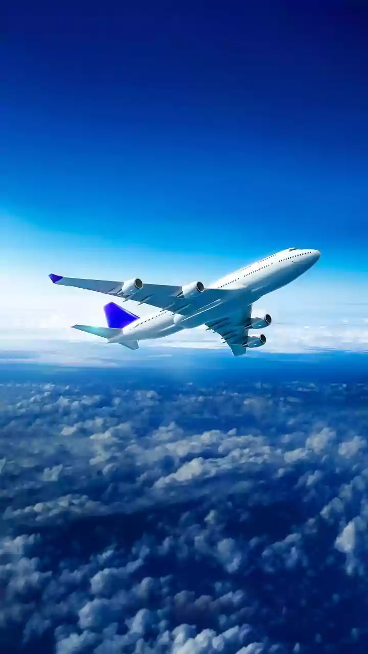 Image that India is not giving bilateral flying rights is 'wrong': IndiGo CEO