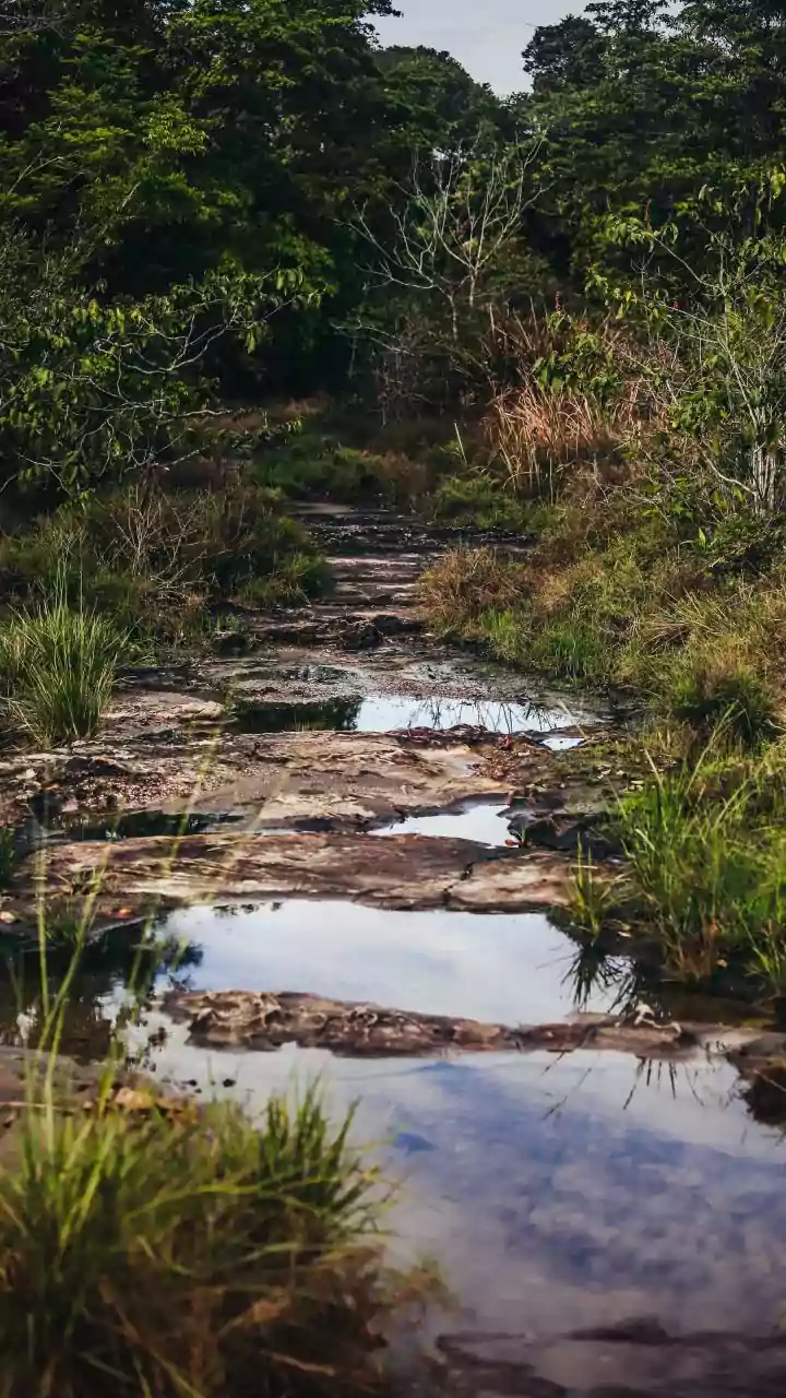Rainy Reels Start In Meghalaya’s Dramatic Hills