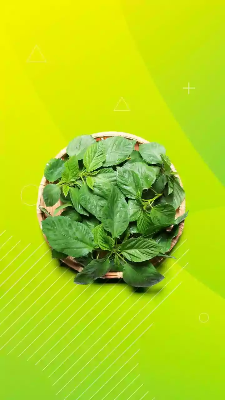 Njama njama: A leafy green with huge health benefits