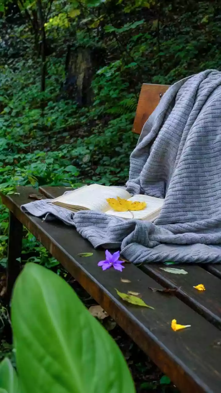 Why Overworked Millennials Are Trading Beach Trips For Kerala Monsoon Ayurvedic Healing Retreats