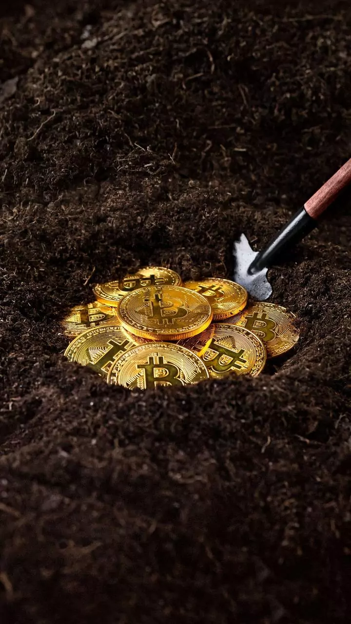 IT uncovers major crypto hawala racket linked to Malappuram flower exporters