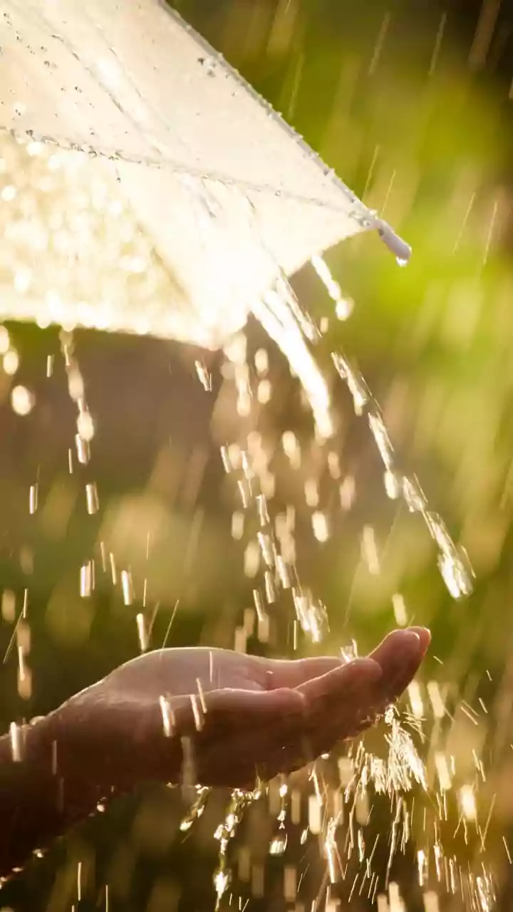 Monsoon Heat Risk Depends on More than the Thermometer