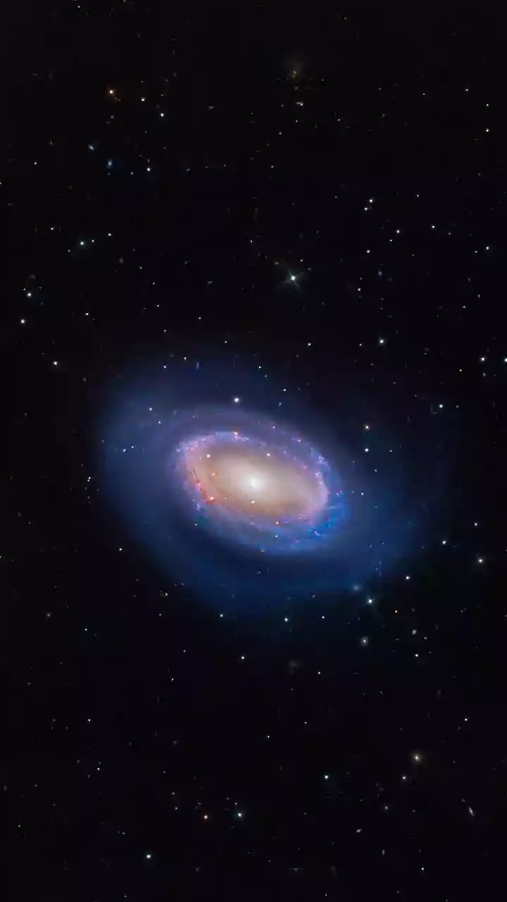 MACS J0553.4-3342 Needs A Better Nickname