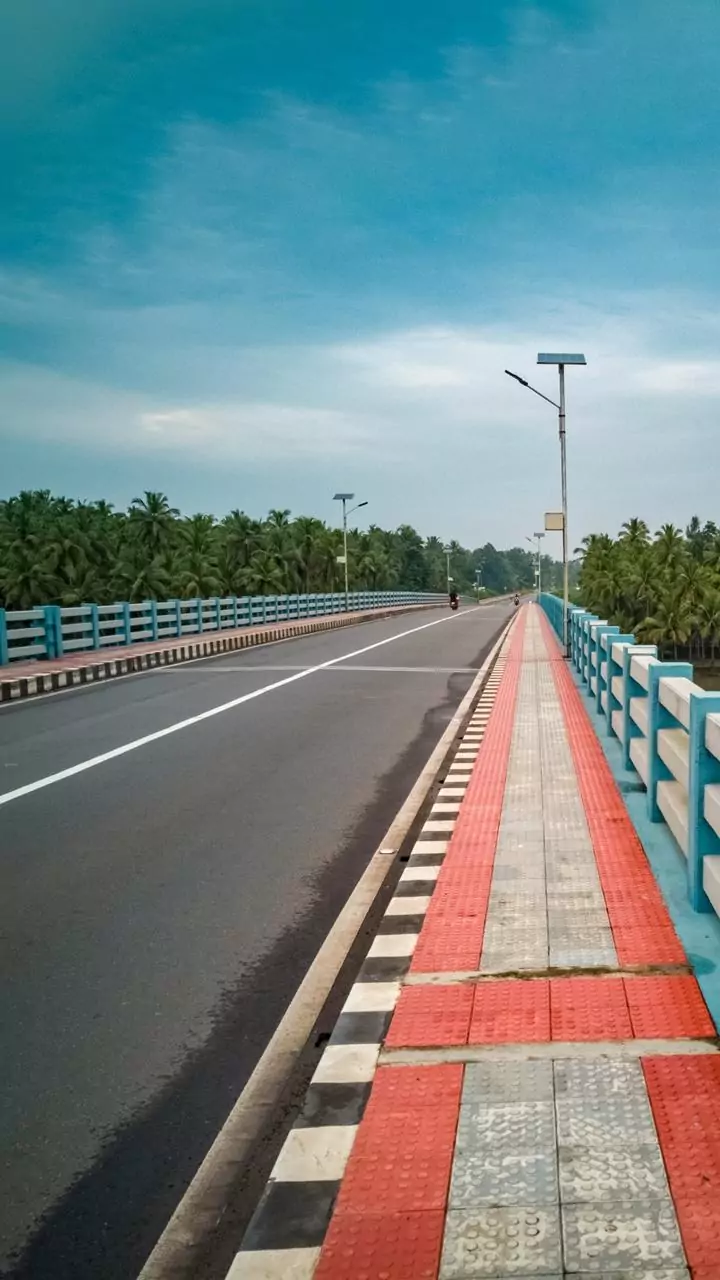 NHAI may consider asking road contractors to setup gaushalas for stray animals on highways: SC
