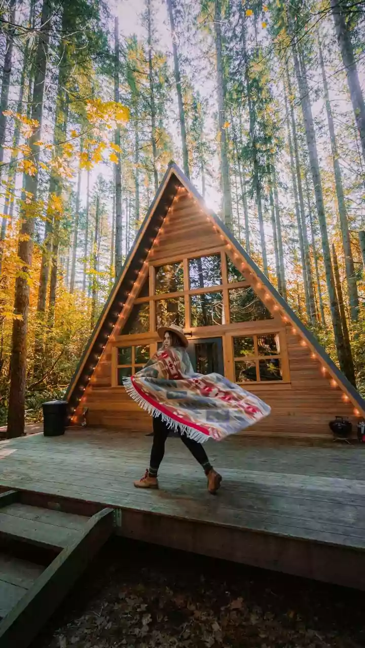 The Forest Stay Trend Everyone Loves