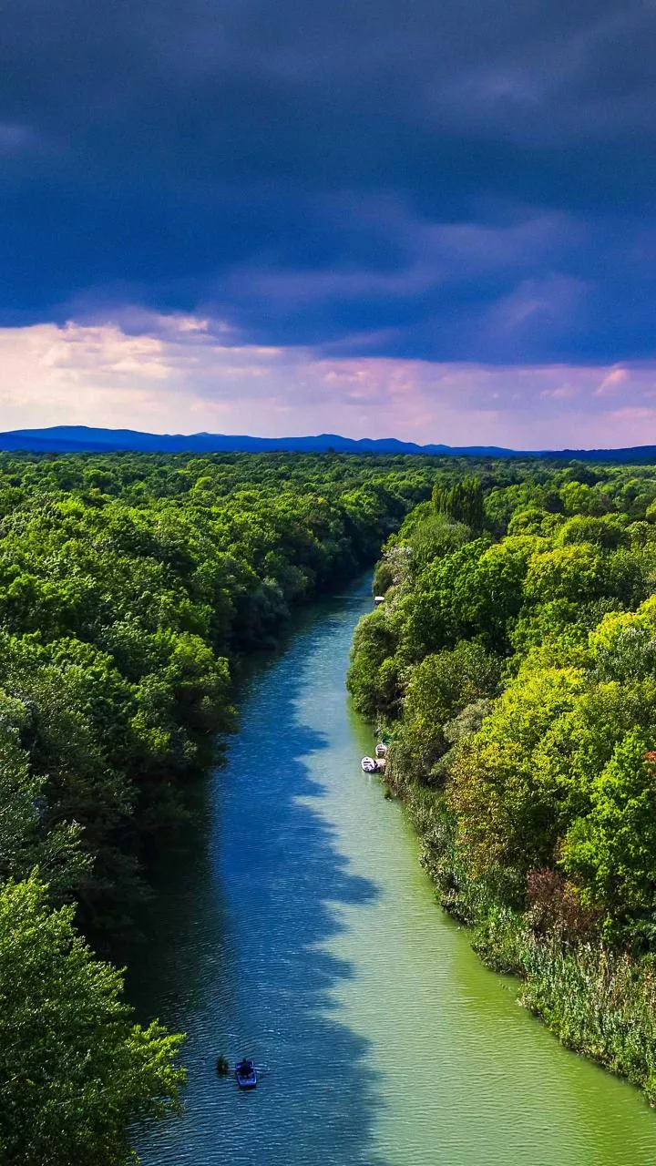 UP: Around 10 people missing after boat capsizes in river in Bahraich forest area
