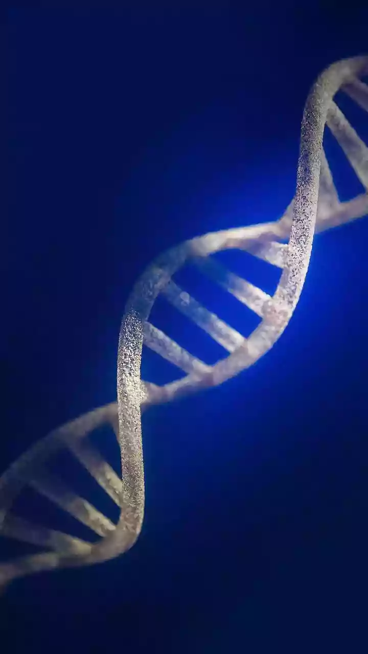 Could Gene Editing Change Heart Disease Treatment? Eli Lilly’s Early Data Looks Promising