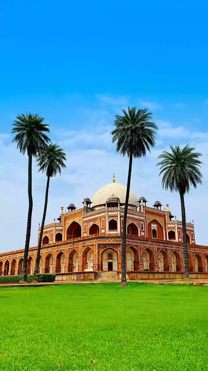 Operation Aaghat: Delhi Police Arrest Over 150 Criminals; Seize Arms, Liquor, Drugs Ahead Of New Year