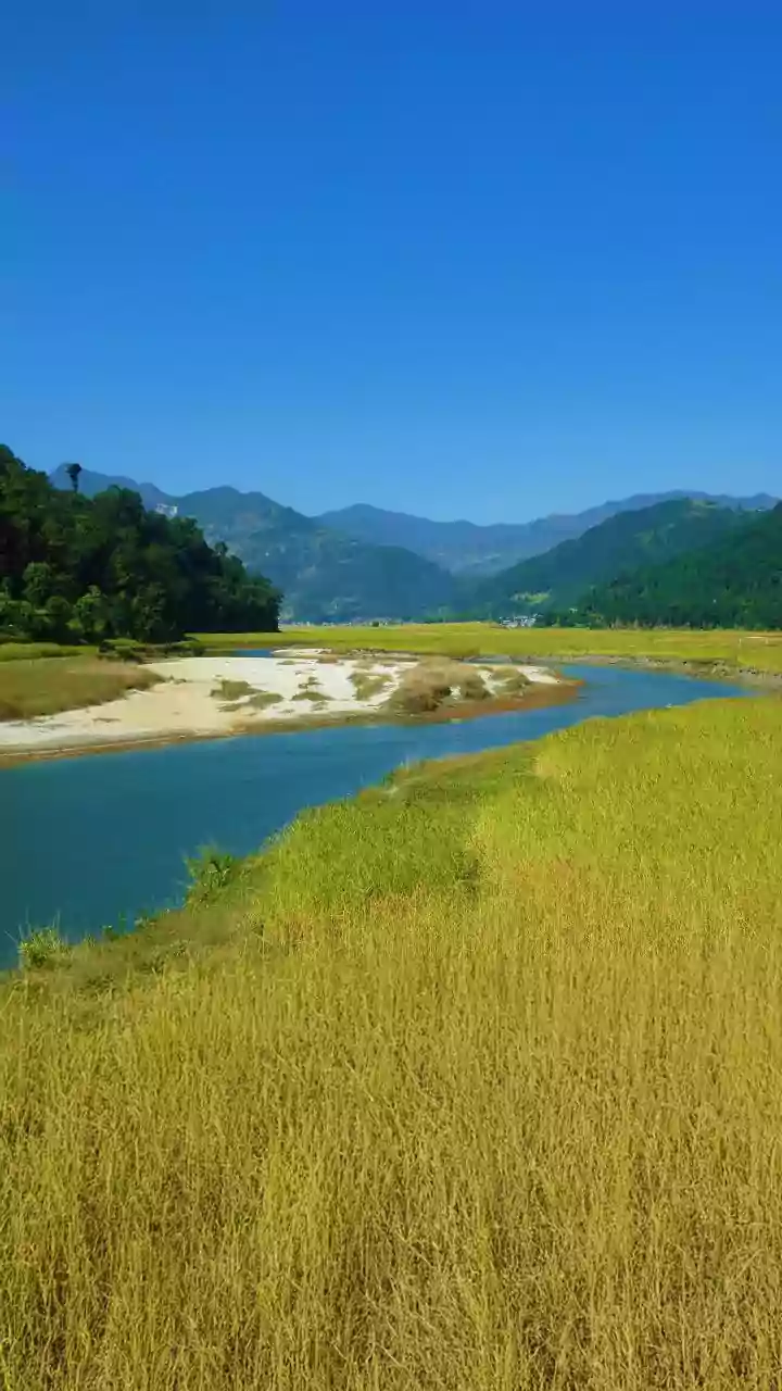 Workation In Arunachal Ziro Valley Merges Reliable Connectivity With Outdoor Music Festival Vibe