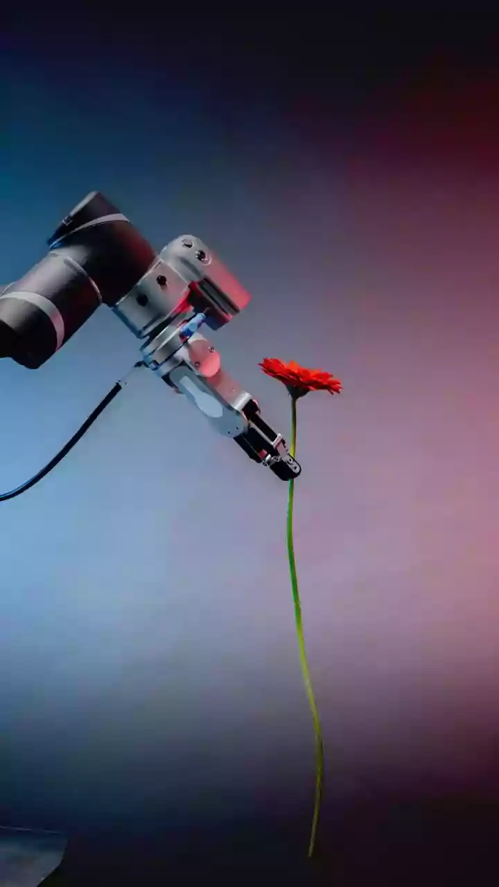 Self-Thinking Soft Robots: A Leap Forward