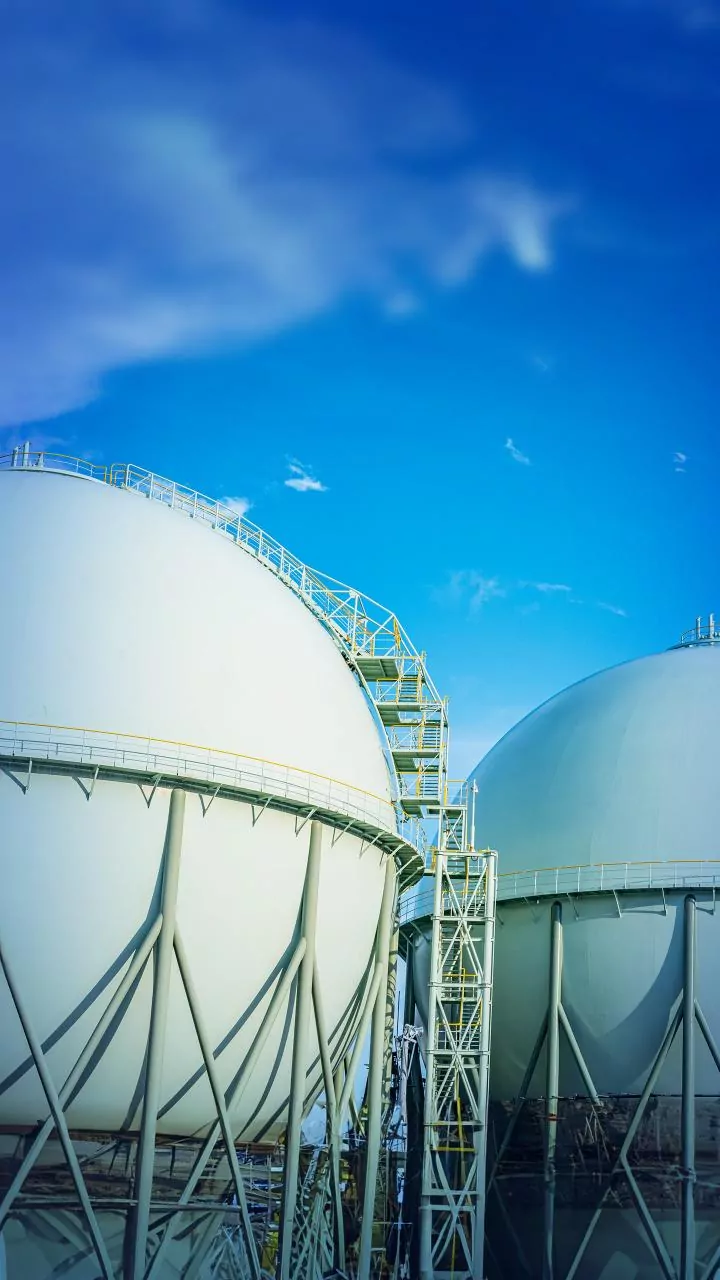 PM unveils Rs 10,601-cr fertiliser plant in Assam, unit to be commissioned by 2030