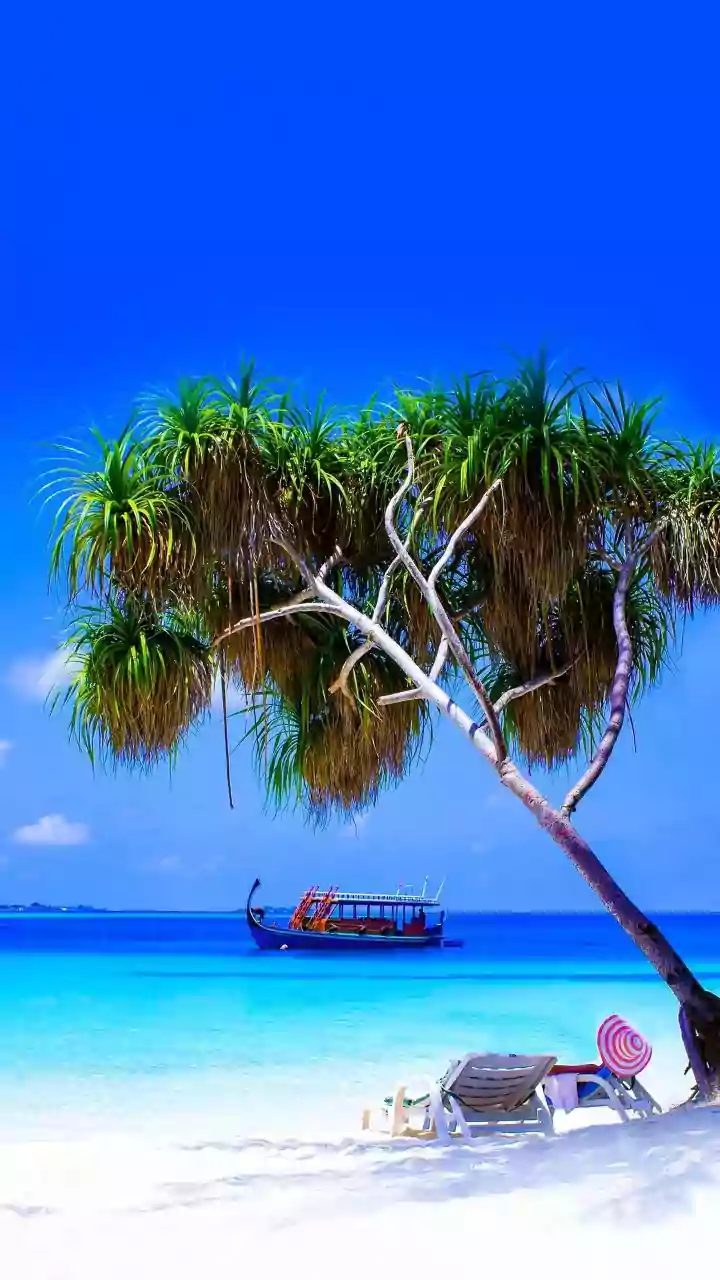 A New High-End Travel Story Emerges from Maldivian Culture and Ecology