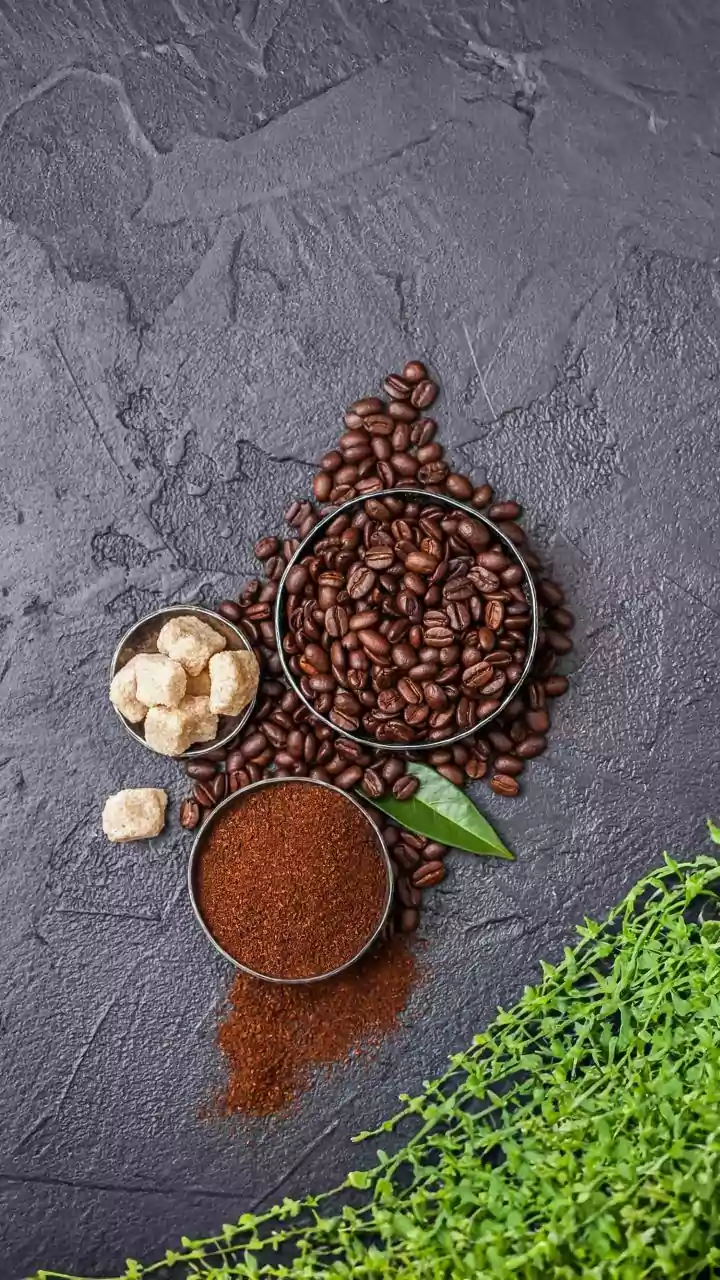 Mushroom Cultivation Innovations: Transforming Metro Coffee Waste Into Food