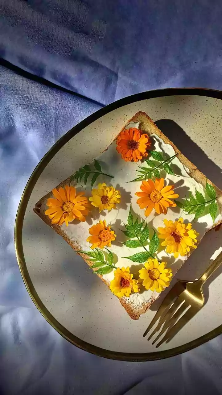 Toast Around the Globe: 10 Chefs, 10 Countries