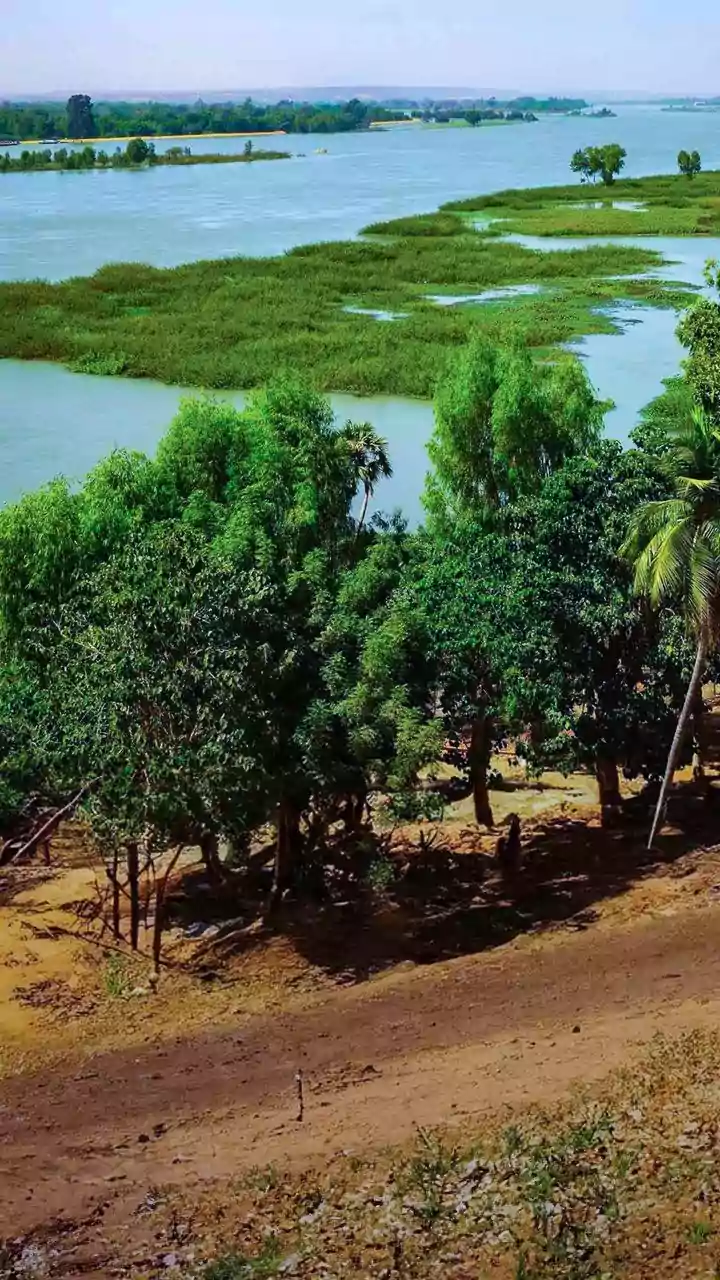 Why Rajasthan's Current Monsoon Travel Surge Raises Questions About Wetland Breaks In Familiar Dry Landscapes