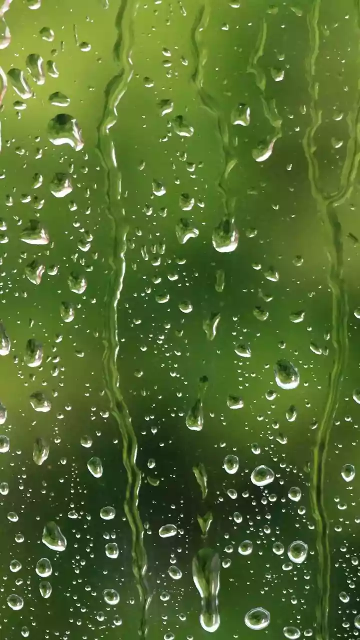 Rain Is Coming! Prepare Your Home Today