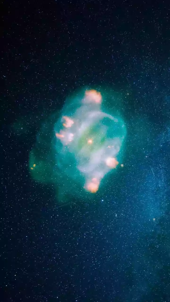 Webb's New Discoveries: Mini-Neptunes and Planet Births