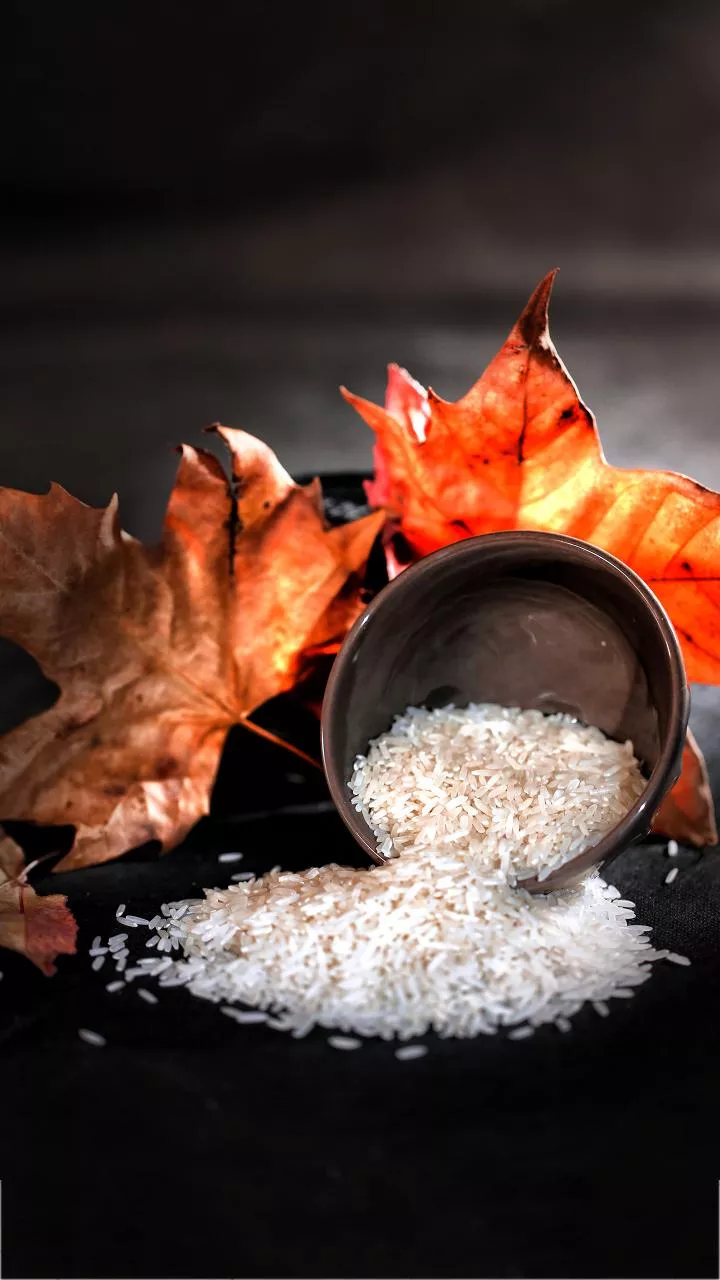 IIT Bombay scientists create cooking fuel from dry leaves