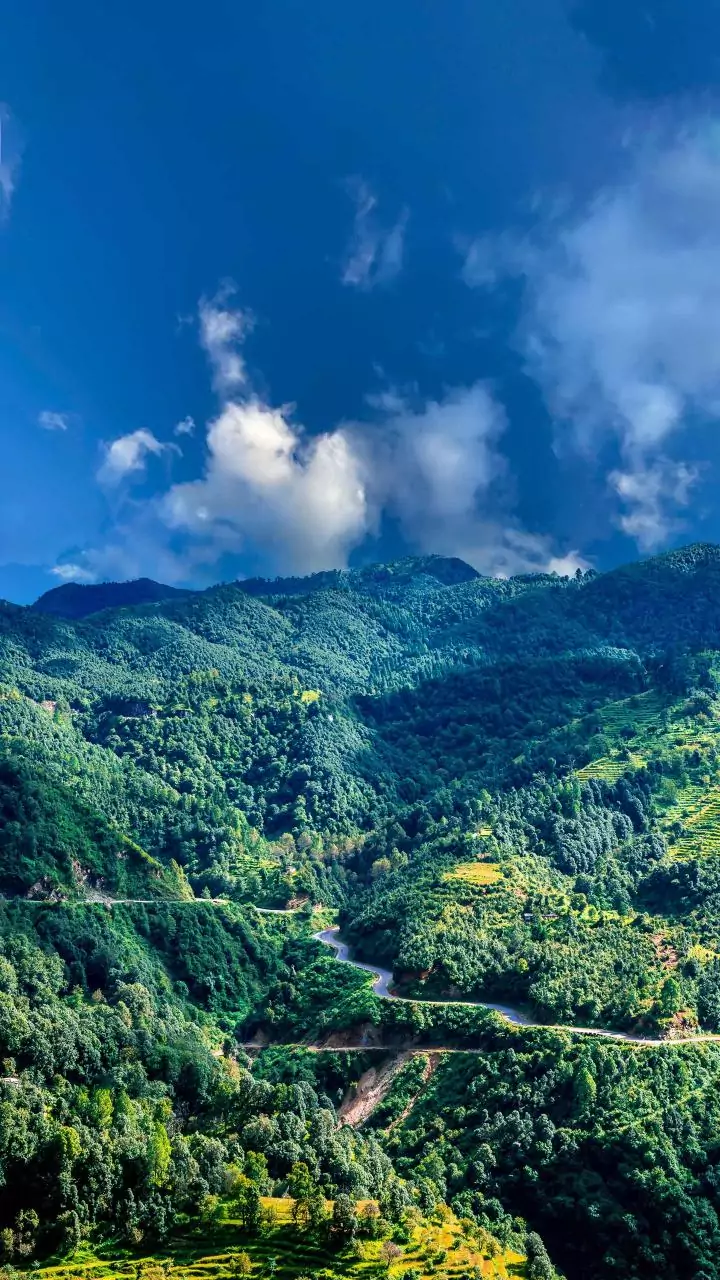 MNF stages 10-hour shutdown in Mizoram over forest Act extension