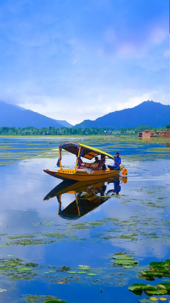 Jammu: Omar chairs cabinet meeting, policy to allocate land to flood victims discussed