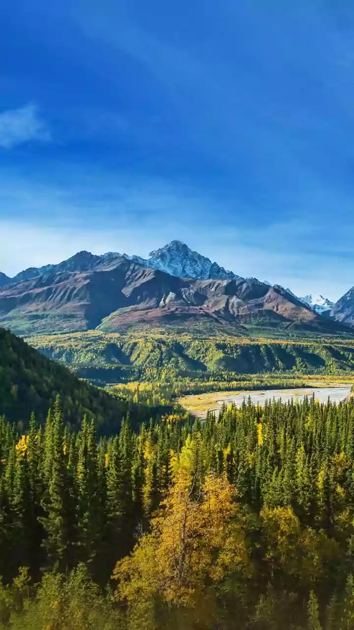 Ziro Valley Workation Spots: Enjoy Arunachal Music Festival While Working Remotely This Autumn