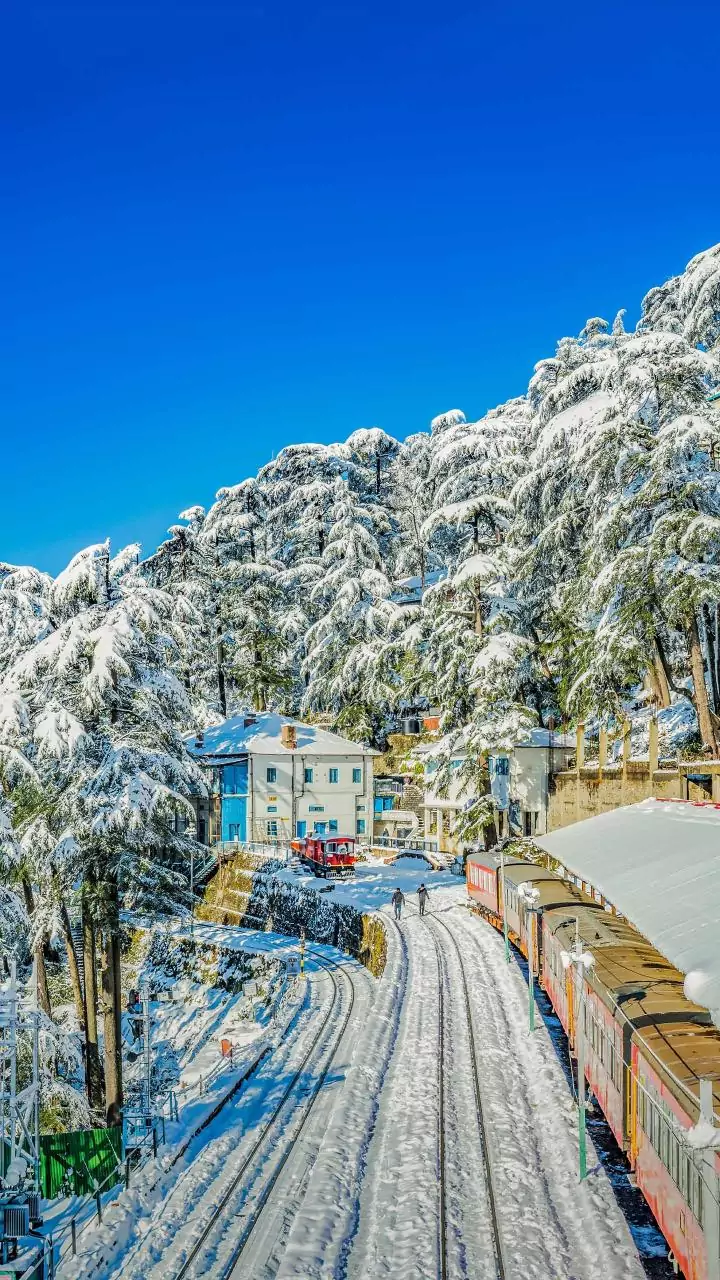 Tourists await 'white New Year' as Met office predicts rain, snowfall in Himachal on Dec 31