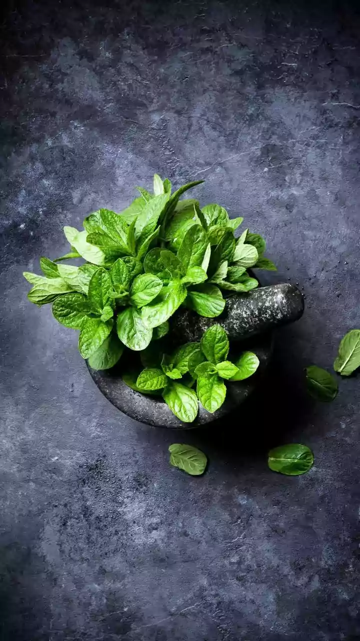 Monsoon Kitchen Gardens Benefit From Herbs That Prefer Cooler, Humid Conditions