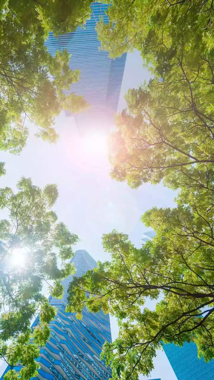 How Reflective Cool-Roof Coatings Help City Apartments Maintain Lower Indoor Temperatures