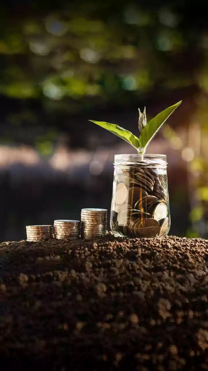 Investments Grow Wealth, Insurance Protects It