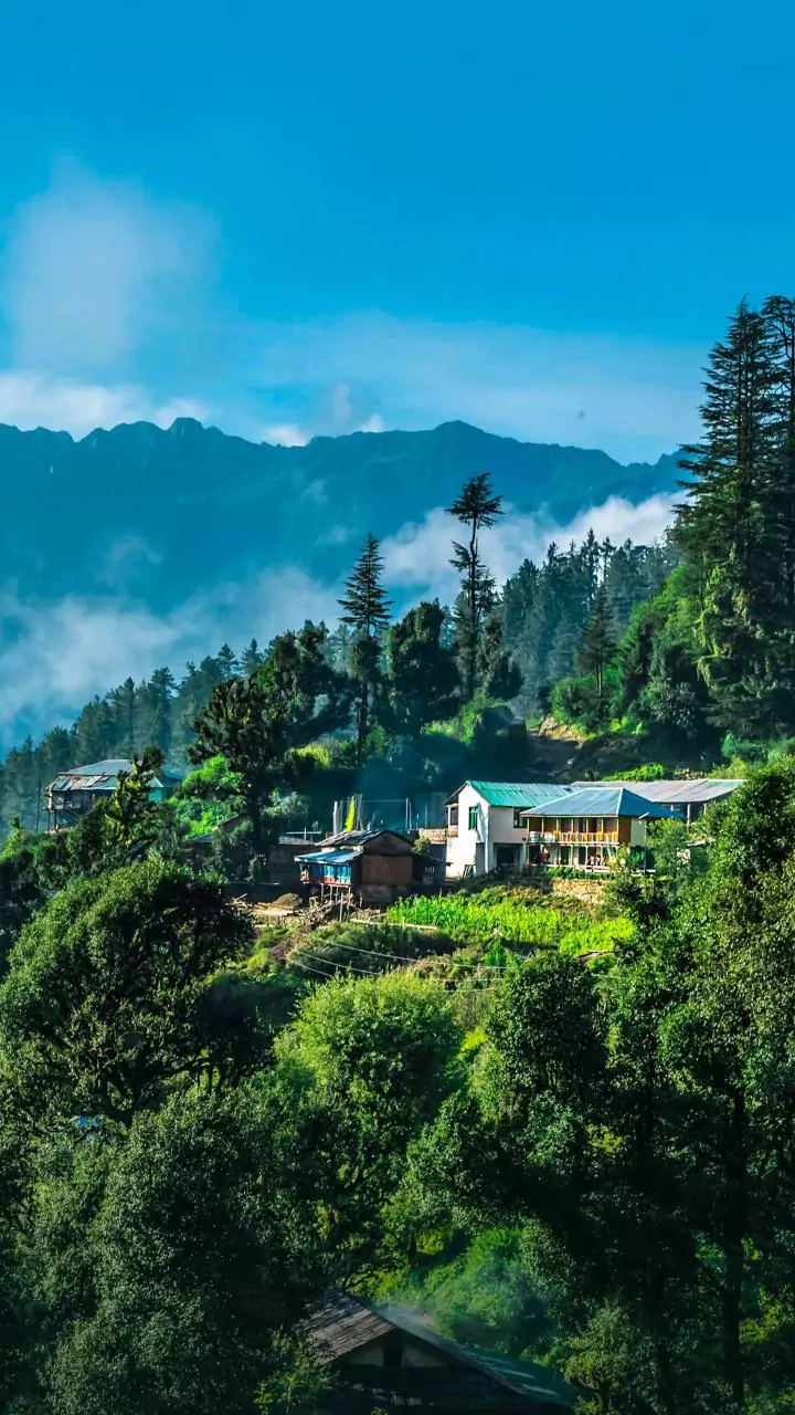 Order bans cops in Himachal Pradesh below ranks of DIG, SP from interacting with media